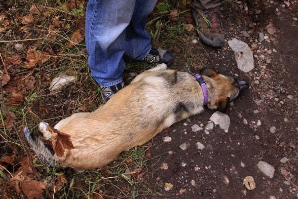 Business-focused 6th generation