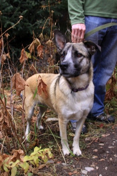 Business-focused 6th generation